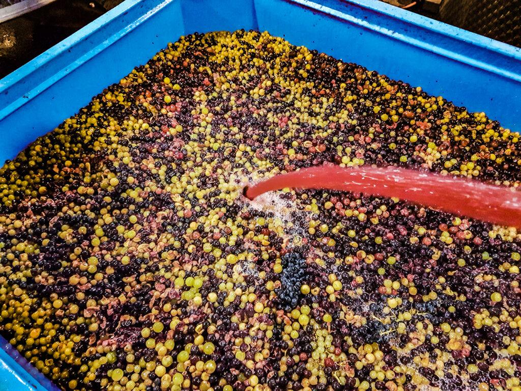 Anim Wine