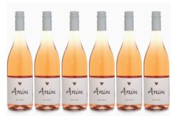 2024 Anim Pinot Rosé 6pk