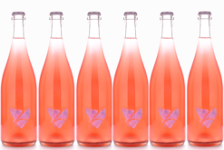 2025 Anim Field Fizz Pet-Nat 6pk