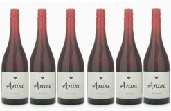 2024 Anim Field (light red) 6pk
