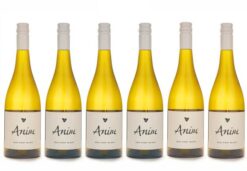 2024 Anim Pinot Blanc 6pk