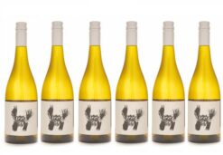 2022 Anim Hairy Maclary Sauv Blanc 6pk