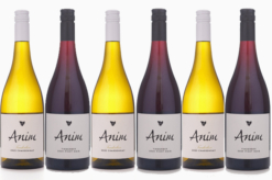 2025 Anim Tinderbox Mixed 6pk