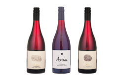 2025 Anim Tinderbox Pinot Mixed 3pk