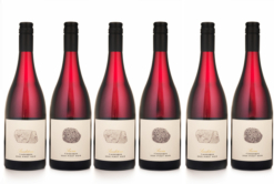 2025 Anim Tinderbox Geology 6pk