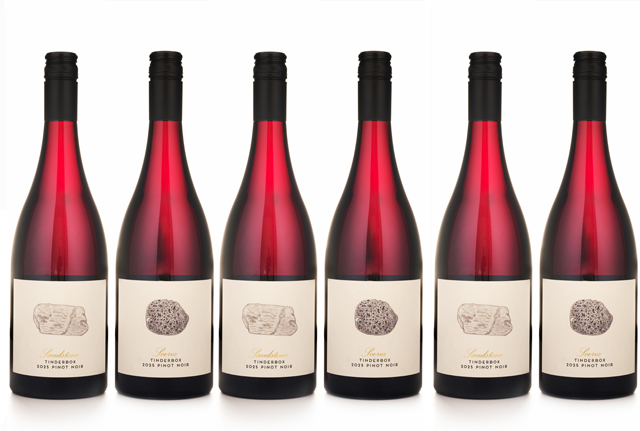 2025 Anim Tinderbox Geology 6pk