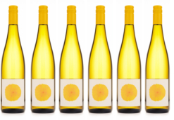 2026 Anim Sunny Bae 6pk